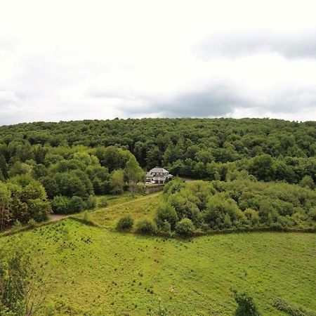 Totale Ruhe Im Wald Apartment Punderich Ngoại thất bức ảnh